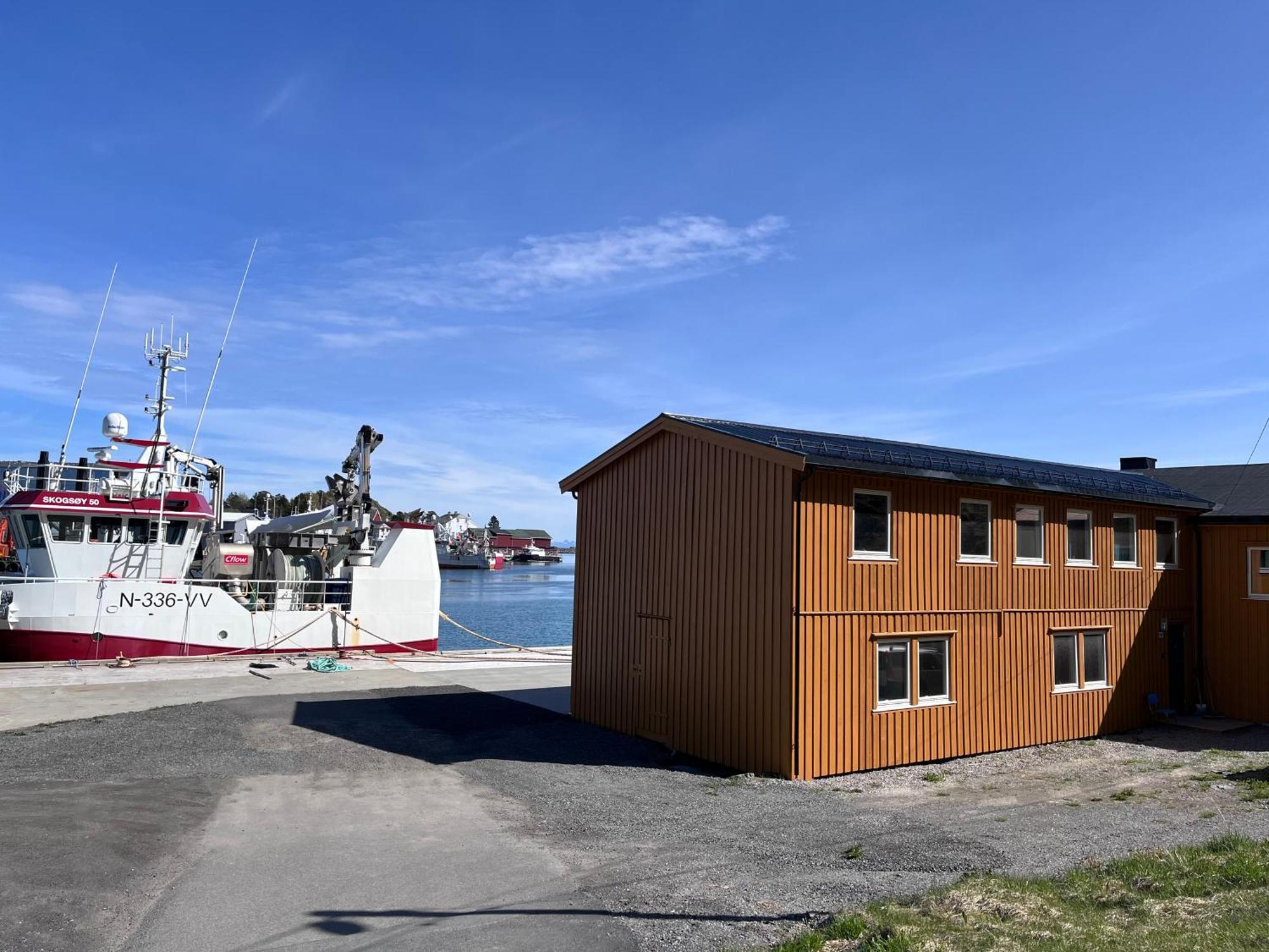 The Harbour House, Dorm And Twin, Selfservice Hostel Ballstad Exterior foto