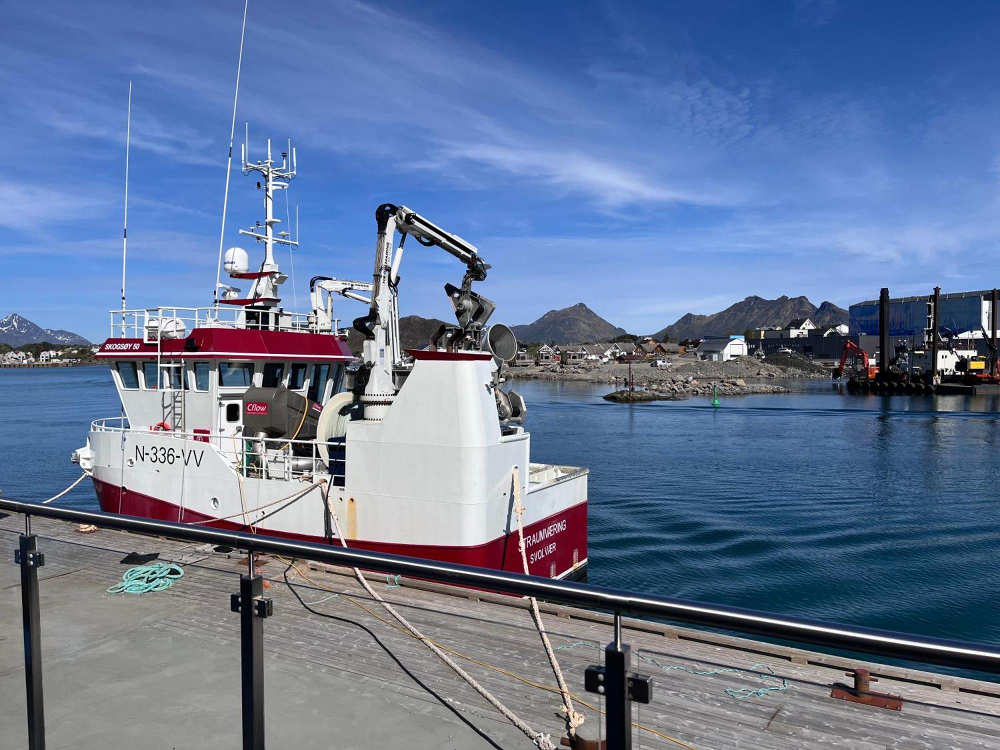 The Harbour House, Dorm And Twin, Selfservice Hostel Ballstad Exterior foto